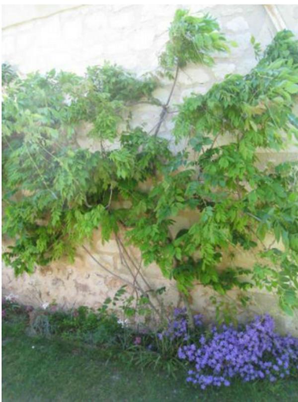 Le Clos De La Chapelle - Gite Les Glycines מראה חיצוני תמונה