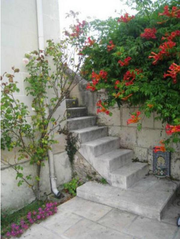 Le Clos De La Chapelle - Gite Les Glycines מראה חיצוני תמונה
